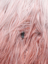 Ombre Faux Mongolian Fur Coat - Festigal