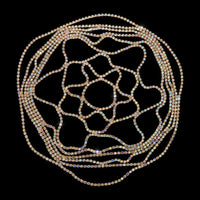 40430743879813