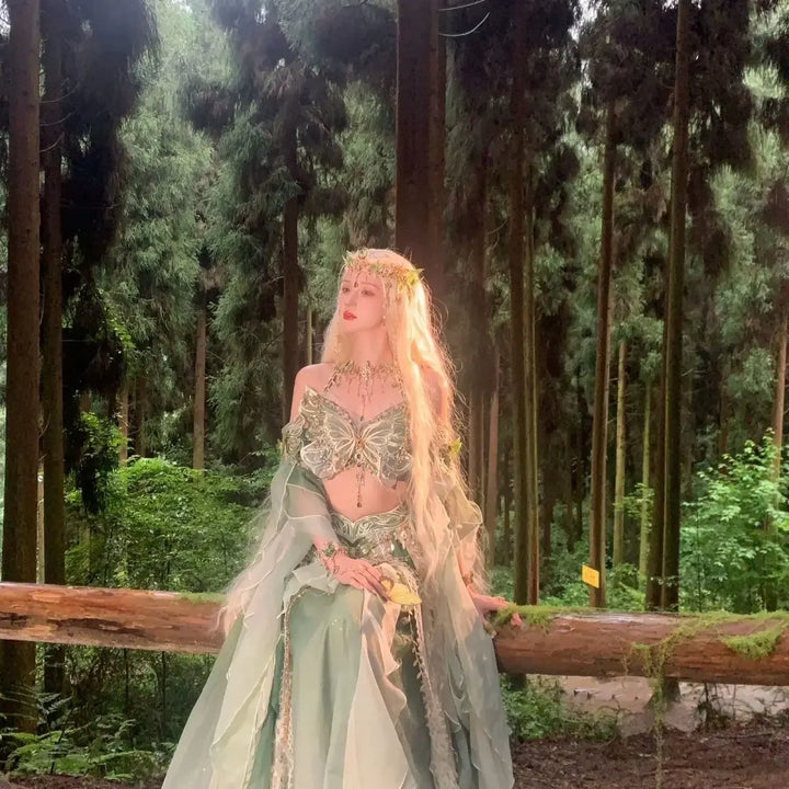 Fairy Cosplay Embroidered Dress