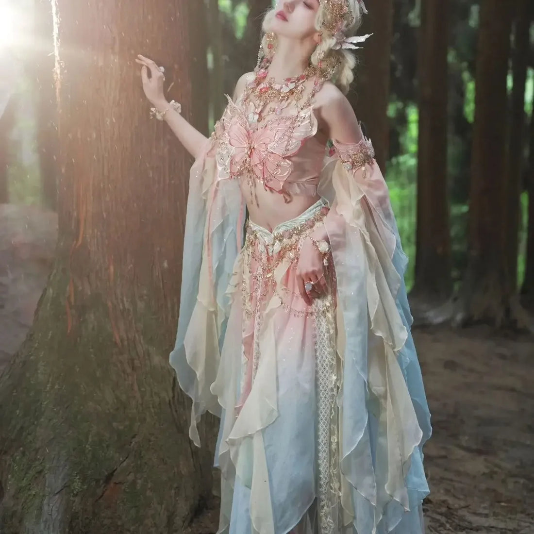 Fairy Cosplay Embroidered Dress