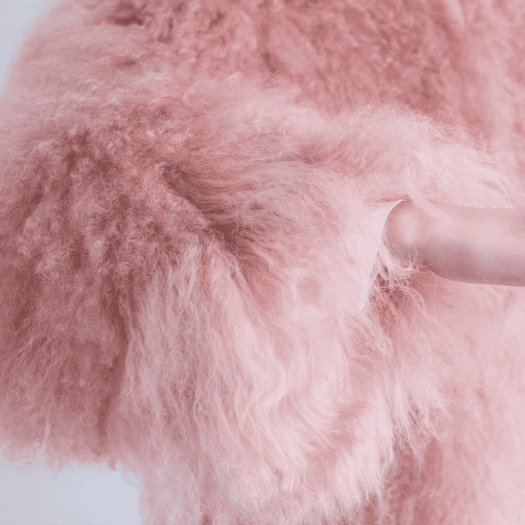 Pink Mongolian Shearling Jacket - Festigal