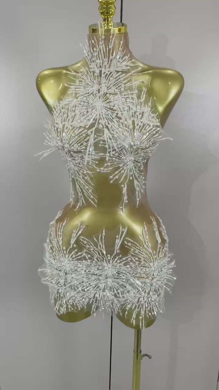 Dandelion Mesh Pearl Dress