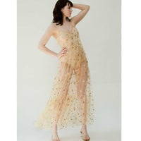 Transparent Mesh Dress - Festigal