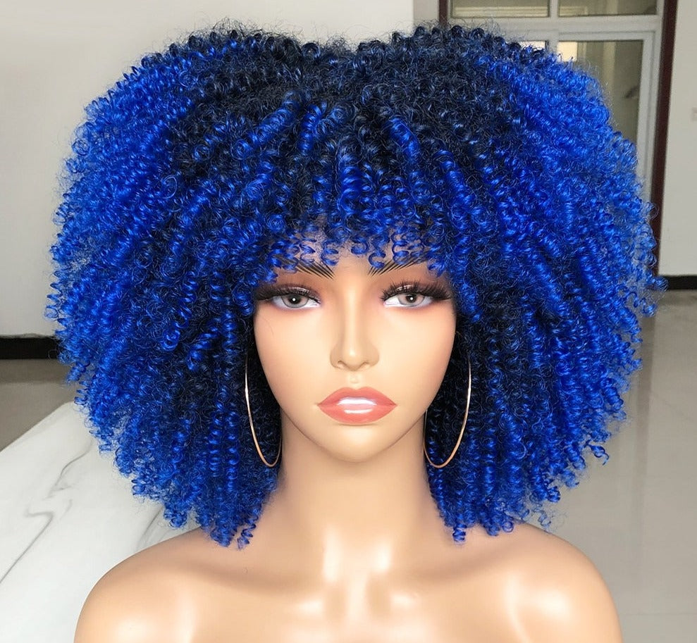 Synthetic Afro Wig - Festigal