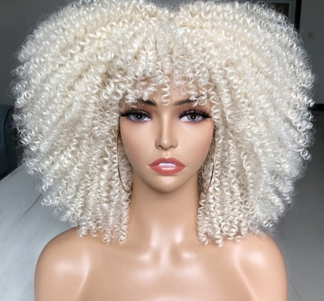 Synthetic Afro Wig - Festigal