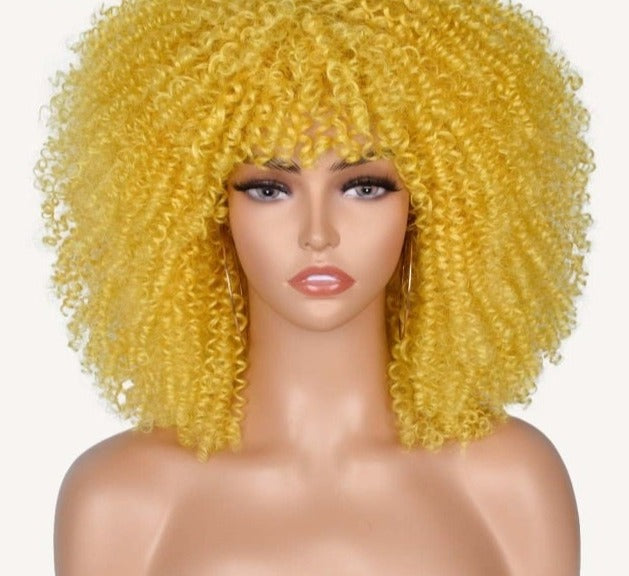 Synthetic Afro Wig - Festigal