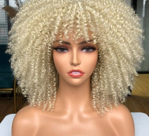 Synthetic Afro Wig - Festigal
