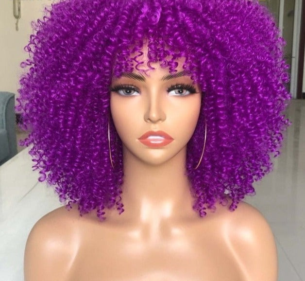 Synthetic Afro Wig - Festigal